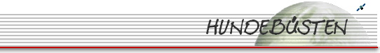 HUNDEB�STEN     